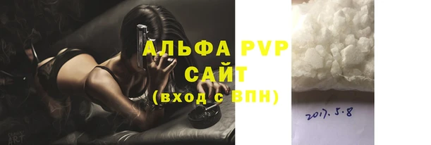 PSILOCYBIN Вяземский